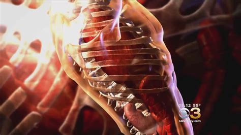 scientists find a new organ in humans the interstitium youtube