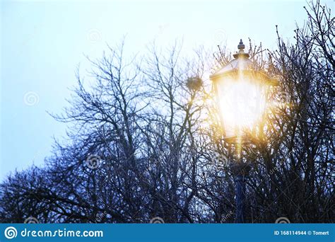Vintage Street Lamp And Bare Trees At Winter Twilight Stock Photo