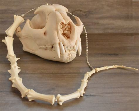 Cougar Tail Bone Necklace Mountain Lion Bones Jewelry