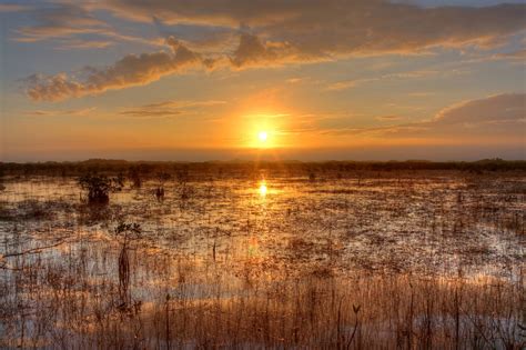 Everglades Sunset Free Stock Photo Public Domain Pictures