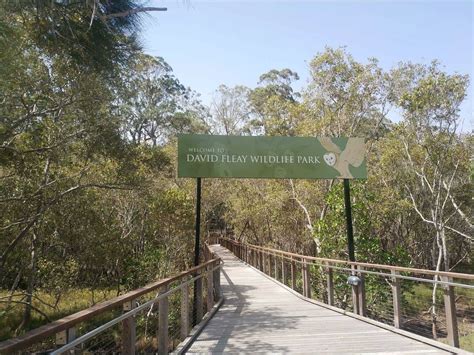 David Fleay Wildlife Park Admission Prices Gold Coast