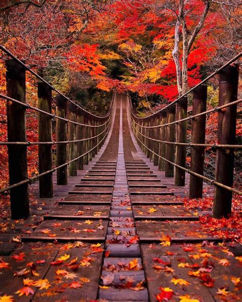 Japan In Autumn Rpics