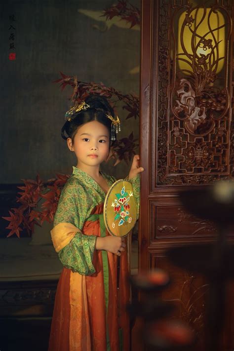 Hanfu Chinese Tang Dynasty Traditional Clothing Hanfu Hairstyle