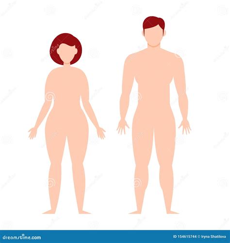 Male And Female Body Silhouette Template Flat Elements For