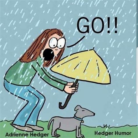Pin By Cindy Stetson On Dachshund Rain Humor Funny Weather Rainy