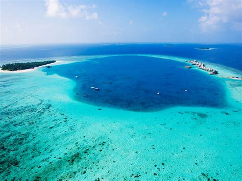 Reef And Relaxation Protecting Maldives Coral Reefs