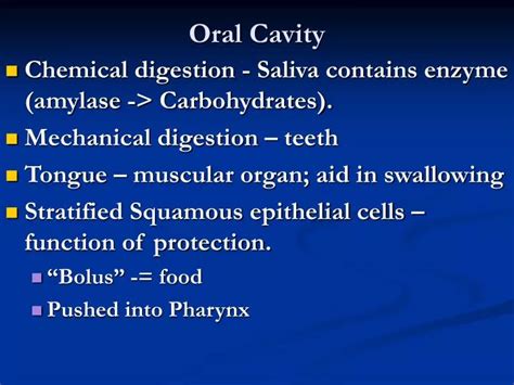 Ppt Oral Cavity Powerpoint Presentation Free Download Id5119917