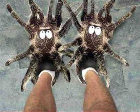 Crazy Looking Slippers For Keeping Your Feet Warm 35 Photos Klykercom