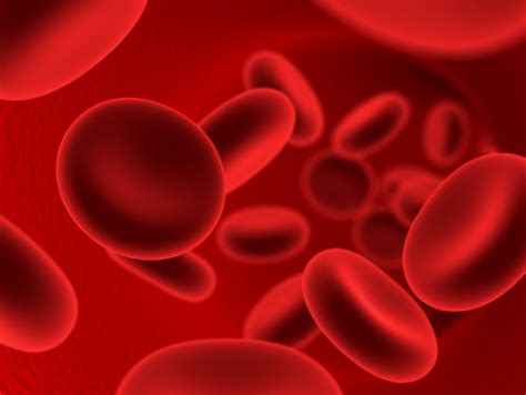 Remedios Naturales Para Aumentar Los Niveles De Hemoglobina En Sangre
