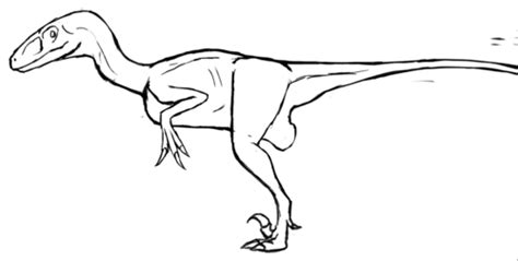 Deinonychus A Quick Anatomy Guide Tumbex