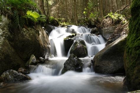 Free Images Nature Forest Waterfall Creek River Stream Flow