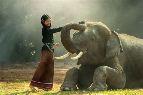 Free Photo Girl With The Elephant Activity Elephant Giant Free