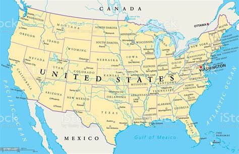 Mapa Politico De Estados Unidos Vektorgrafiken Mapa Politico De