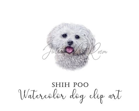 Watercolor Shih Poo Clip Art Shih Poo Dogs Png Dog Clipart Etsy