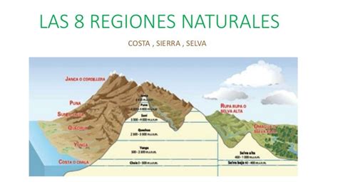Las 8 Regiones Naturales
