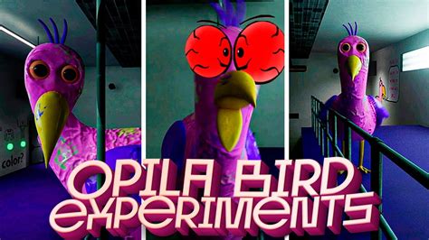 Completely Broke Opila Bird Experiments In Garten Of Banban Youtube