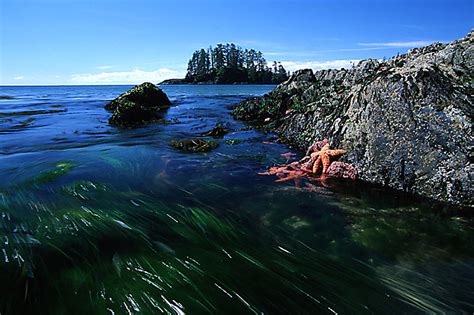 Long Beach Vancouver Island News Events Travel Accommodation