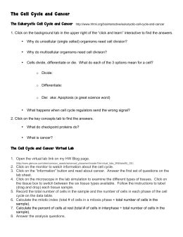 This video serves as an. 31 Cancer Worksheet Answer Key - Free Worksheet Spreadsheet