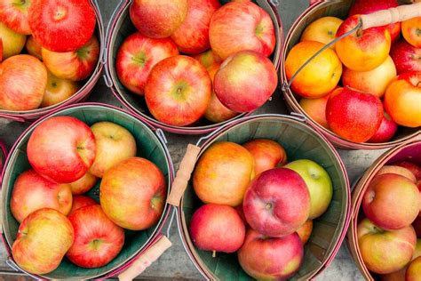 10 Best Apple Orchards In The Us Cheap Fly Me