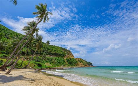 Top 20 Best Beach In Vietnam 14 Is Really Paradise