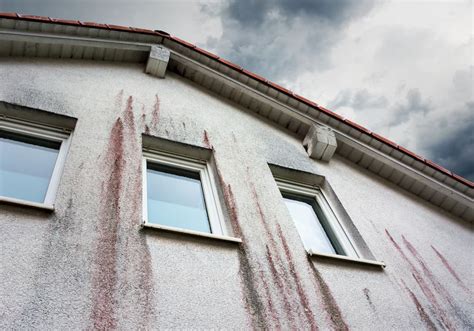 Deshalb klatscht der meiste regen auf die westseite (wetterseite) eines hauses. Algen, Pilze und Verschmutzungen von der Fassade entfernen ...