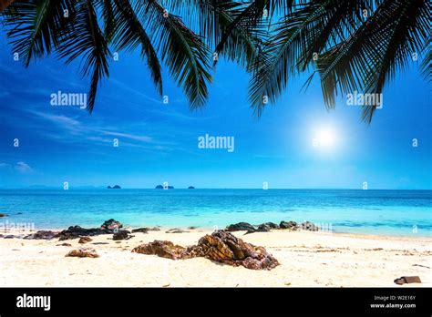 Palm Trees On Tropical Beach And Blue Sky With White Clouds In Krabi