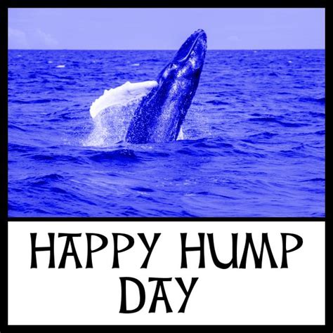 Happy Hump Day Yasmine Galenorn