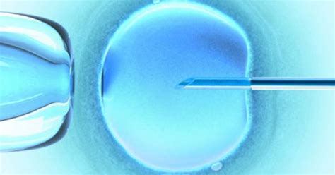 Apa Itu Metode In Vitro Fertilization Ivf