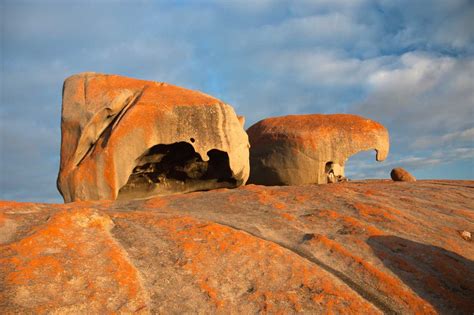 11 Best Things To Do In Kangaroo Island That Will Wow You