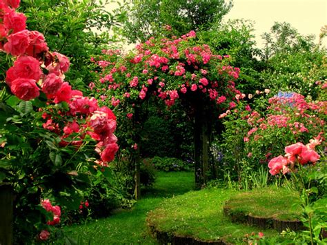 Door Of Roses Pretty Gardens Beautiful Gardens Dream Garden