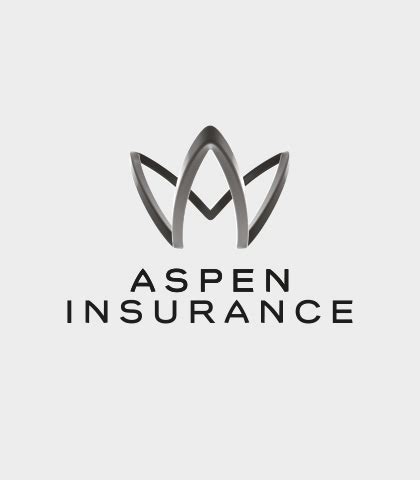 Aspen insurances covers a wide range of risks over the globe, creating dan osman, senior credit and political risk underwriter at aspen insurance, discusses the recent focus on credit risk mitigation. Aspen Insurance names new global heads | Global Trade ...