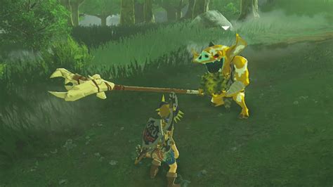 Link Gives A Gold Bokoblin His Last Meal Zelda Breath Of The Wild
