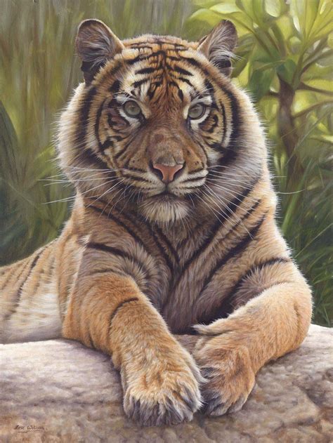 Tiger Painting Tiger Artwork Wildlife Paintings