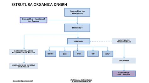 Estrutura Orgânica Da Dngrh