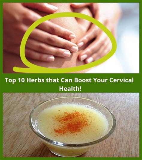 Top 10 Herbs That Can Boost Your Cervical Health Herbs Health Cervical