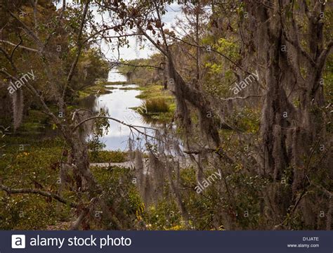 The Barataria Preserve A Part Of Jean Lafitte National Historical Park