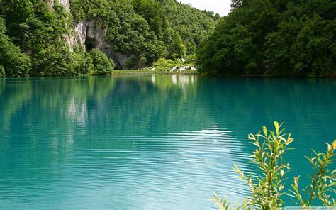 Turquoise Lake Turquoise Forest Water Lake Hd Wallpaper Peakpx