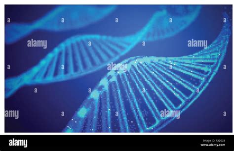 Genoma Dna Illustrazione Vettoriale La Struttura Del Dna Eps 10 Il