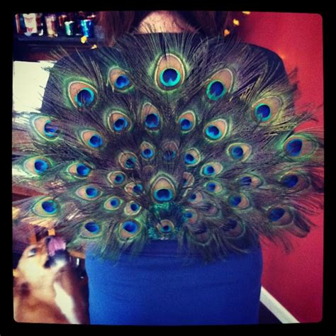 Adult Peacock Costume Peacock Tail Peacock Wings