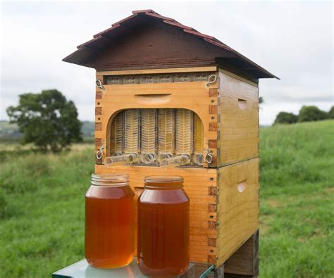 Automatic Honey Collecting Beehive Bee Keeping Flow Hive Backyard Bee