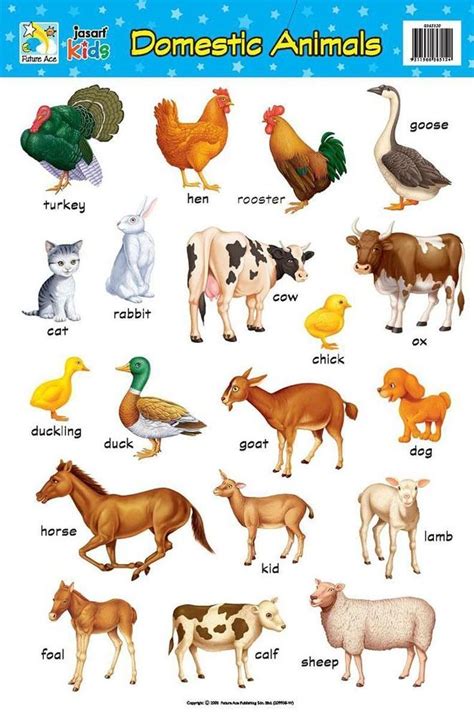 16 Printable Animal Charts Animal Activities For Kids Animals Images