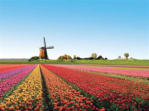 Pays bas hollande marché de rue amsterdam pays bas europe du nord sites historiques paysage france lieux insolites fromages monde. pays bas paysage • Voyages - Cartes