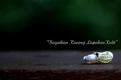 Hal ini dikatakan demikian kerana manusia tidak mungkin melupakan asal usulnya kecuali. PERIBAHASA KITA: Galeri Peribahasa