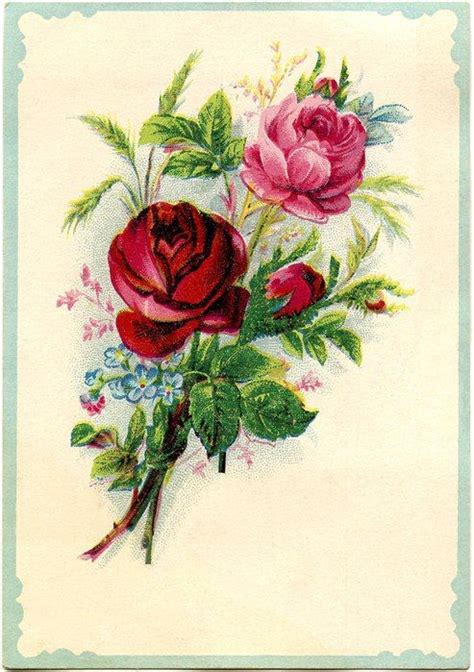 Новости Vintage roses Vintage printables Vintage flowers