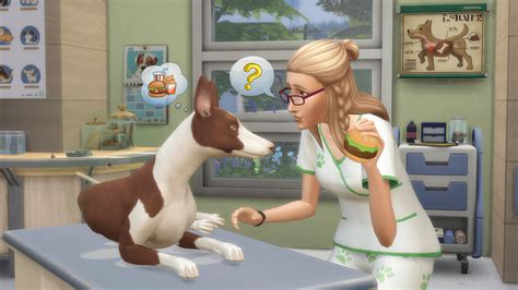Acheter La Collection Les Sims 4 Chiens Et Chats Premier Animal De