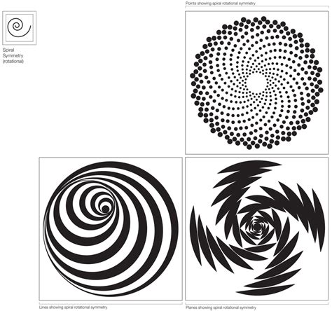 Dsource Spiral Rotational Symmetry Visual Symmetry Dsource