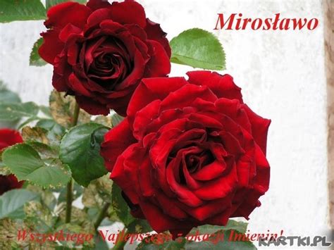 Sprawdź kiedy obchodzone są imieniny mirosława. Dla Mirosławy - KARTKI.pl