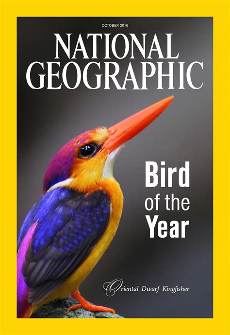 National Geographic 2024 Picture Of The Year Cahra Corella
