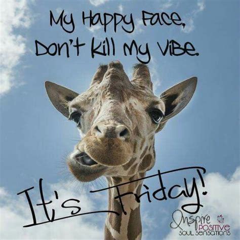 Pin By Susan Johnson On Giraffes Happy Friday Humour Its Friday