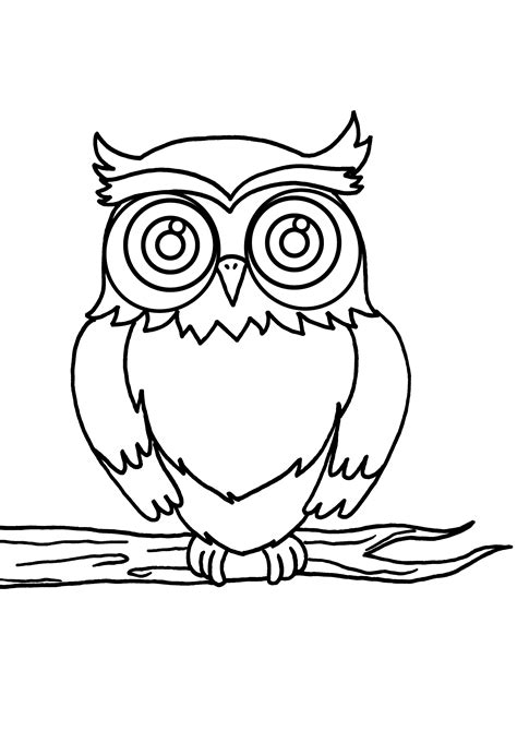 drawings owl animals printable coloring pages